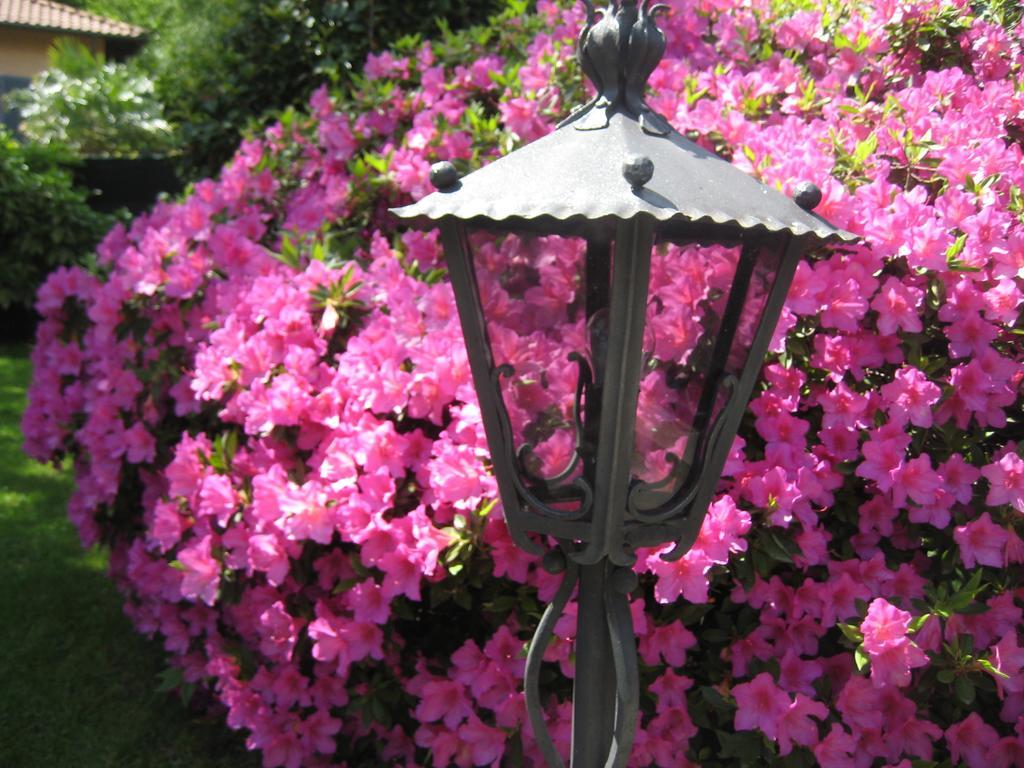 Villa Margherita Lake Maggiore Luaran gambar