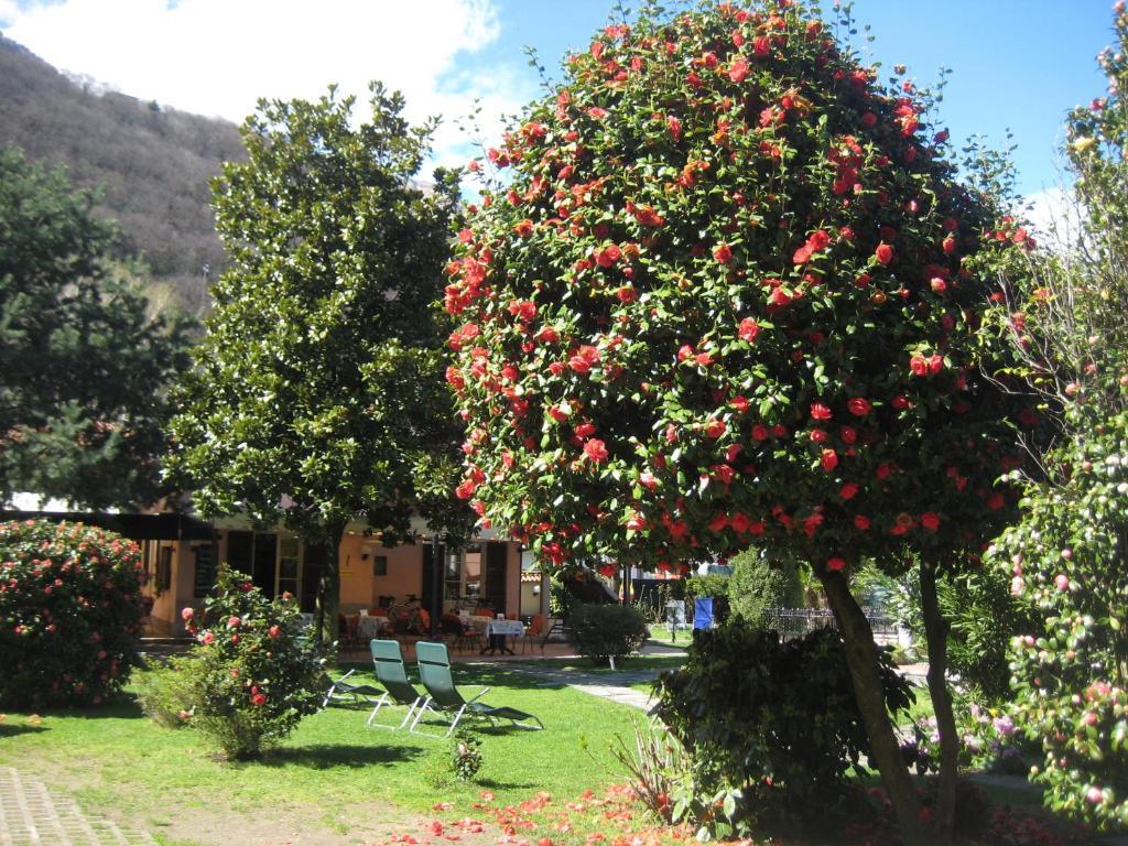 Villa Margherita Lake Maggiore Luaran gambar